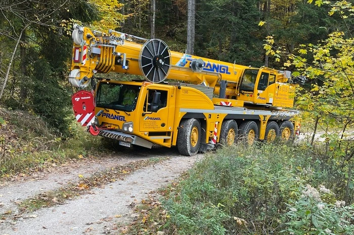 Mittels eines mobilen 130-Tonnen-Geländekrans wurde der Baum schonend und im Stehen gefällt