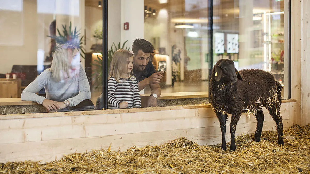 Kinderfreundliches Almfamily Hotel Scherer 