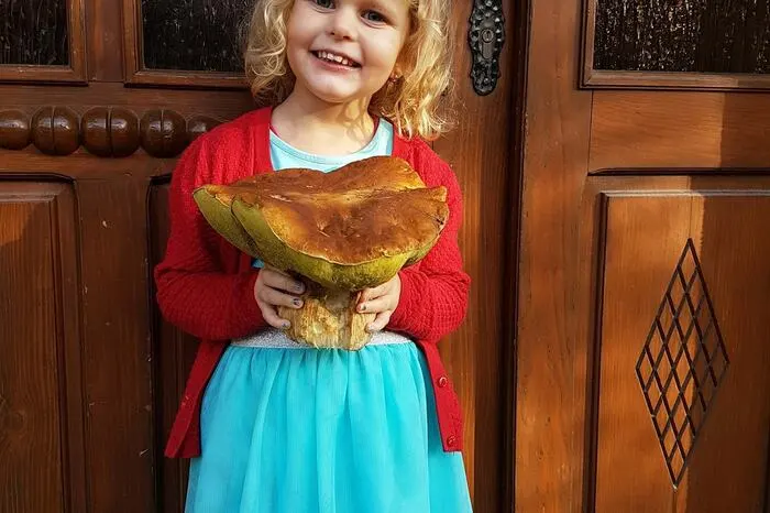 Einen 1,3 Kilogramm schweren Steinpilz hat Familie Hold im Wald in Oberdorf am Hochegg gefunden. Isabella präsentiert ihn stolz