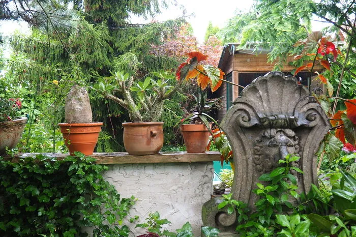 Im seit 14 Jahren beständig biologisch kultiviertem Gartenreich lässt es sich gut gedanklich abtauchen – inklusive botanischer Weltreise.