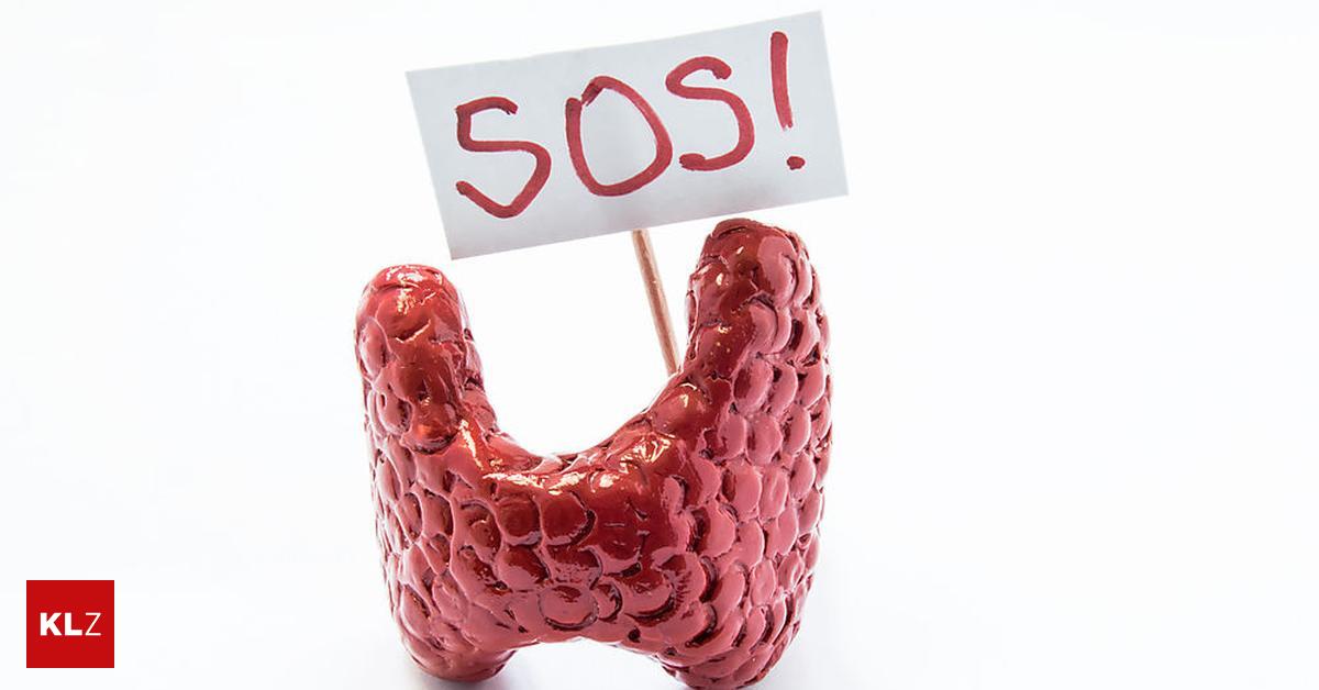 Schilddrüse & Hormone Wie man mit Schilddrüsenleiden gut leben kann