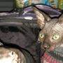 Drei Nacktkatzen wurden heuer bei der Kontrolle eines Reisebusses entdeckt