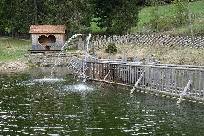Der Romantische Bründlweg am Pogusch kann das ganze Jahr über besucht werden. Wer eine Abkühlung von der zehn Kilometer langen Route braucht, kann sich im Barfußteich erfrischen oder im Wald beim Wasserrad die Seele baumeln lassen. Für das leibliche Wohl ist bei den acht Einkehrstationen gesorgt. Neu ist das längste Sitzbankerl Österreichs.
