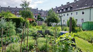 Für viele eine erhaltenswerte soziokulturelle Oase: die Kanaltaler-Siedlung in Villach
