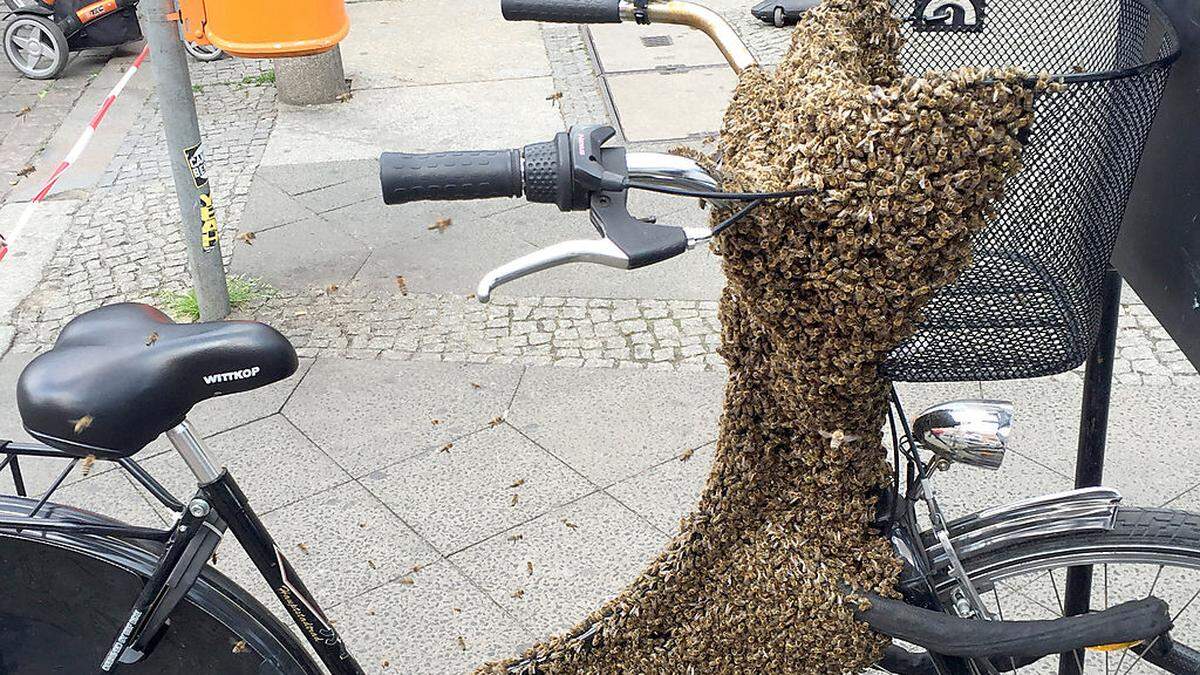 Ein Bienen-Fahrrad, aufgenommen in Berlin