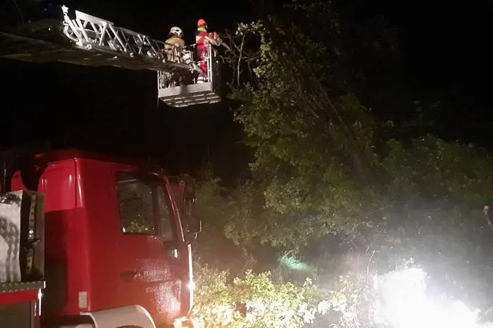 In Graz stürzte ein Baum auf die Riesstraße und blieb in einer Stromleitung hängen ...