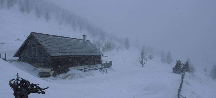 Auf der Zechneralm in den Nockbergen setzte am Samstag Schneefall ein