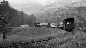Die Waldbahn transportierte zunächst Holz, später wurde sie für den Personenverkehr eingesetzt