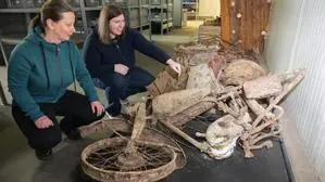 Die Grazer Stadtarchäologinnen Susanne Lamm und Anna Bauer-Zelenka mit einem Fundstück aus Reininghaus