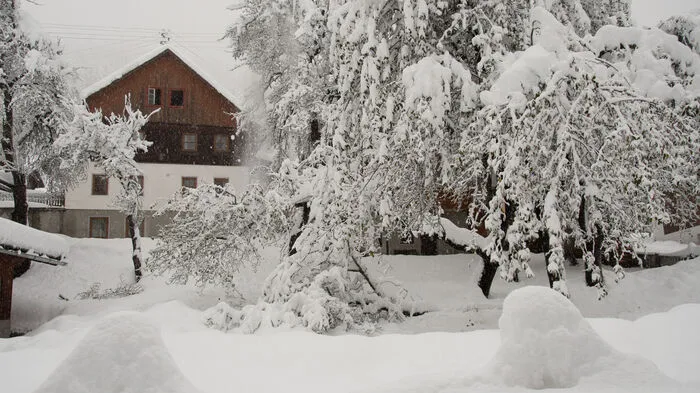 Winterwunderland im Lesachtal.