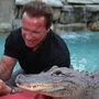 Selfie mit Arnie und Alligator