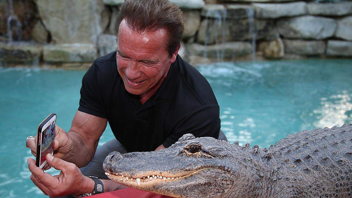 Selfie mit Arnie und Alligator