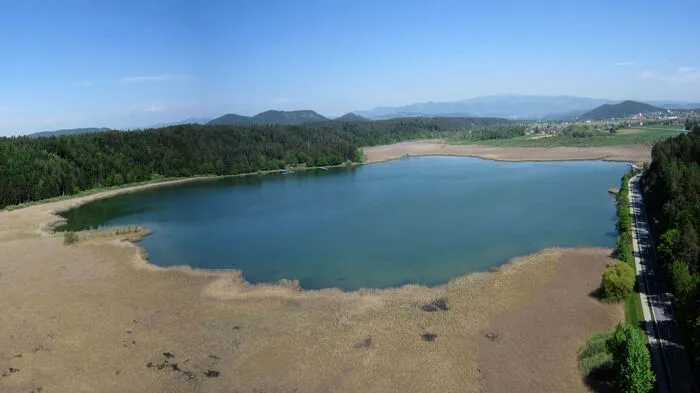 Schwach mesotroph: Der Gösselsdorfer See in der Gemeinde Eberndorf verbesserte sich seit der letzten Untersuchung von Gut auf Sehr gut.Sichttiefe: knapp zwei Meter.Temperatur: 24 Grad (Stand: 26. Juli).Tiefe: maximal drei Meter.Fläche: 320.000 Quadratmeter.