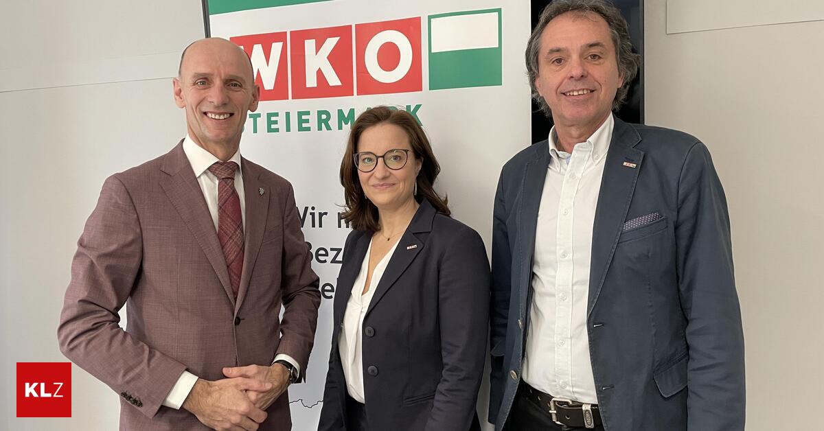 Wirtschaftslage-im-Bezirk-WK-Leoben-Wir-sind-ein-sehr-widerstandsf-higer-Bezirk-