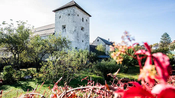 Die Herzogburg befindet sich in der Innenstadt von St. Veit an der Glan.