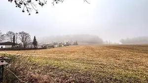 In Maria Saal sollen auf diesem Acker 60 Wohnungen gebaut werden