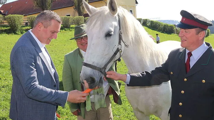 Verteidigungsminister Mario Kunasek (FPÖ) fütterte die Lipizzaner mit köstlichen Karotten