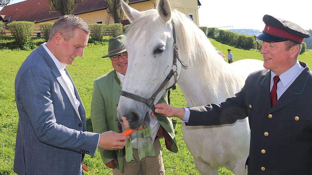 Verteidigungsminister Mario Kunasek (FPÖ) fütterte die Lipizzaner mit köstlichen Karotten