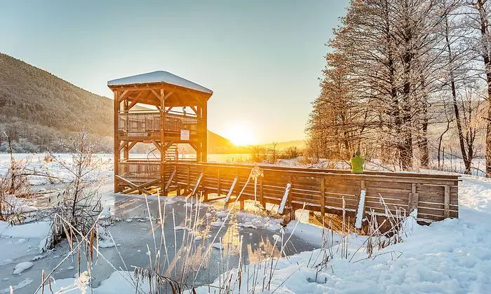 So schön ist es am Slow Trail im Landschaftsschutzgebiet Bleistätter Moor