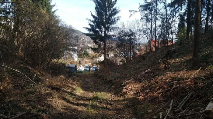 In einem Wald bei Krumpendorf wurde ein Mann aufgegriffen. Er sagt, er lebte dort seit einem Monat. Obwohl er sich neben einer Siedlung niedergelassen hatte, hatten die beim Lokalaugenschein befragten Anrainer nichts von ihm bemerkt. Erst beim Polizei-Einsatz.