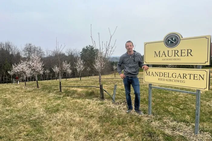 Vor sieben Jahren startete Raphael Maurer vom gleichnamigen Buschenschank mit der Kultivierung von Mandeln