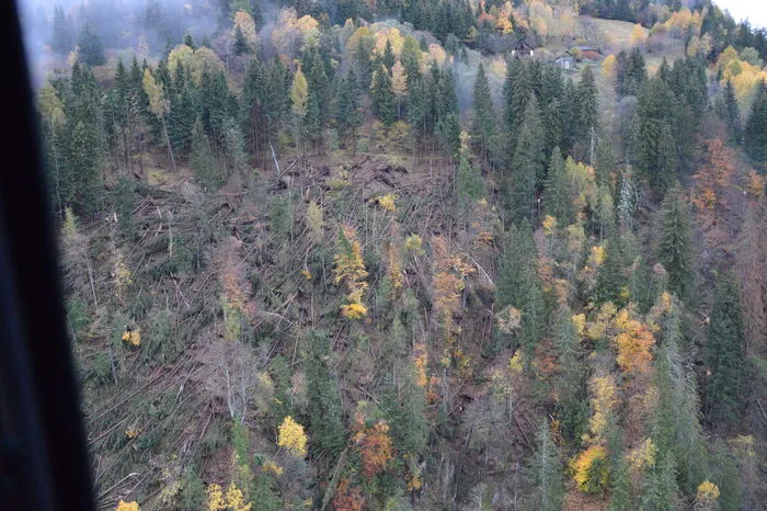 Aufgrund dieser enormen Sturmschäden ist die wirtschaftliche Existenz vieler Waldbauern über viele Jahre gefährdet, denn der Wald ist im Mölltal die Sparkasse der Bauern. Für größere Investitionen auf den Höfen, diente immer schon der Holzverkauf.