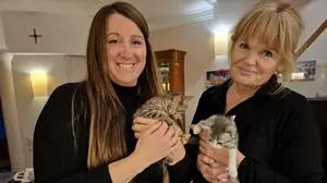 Elisabeth Hoppel und Christa Eisenberger-Strobl sind die Obfrauen des Vereins „Weizer Streunerhilfe“