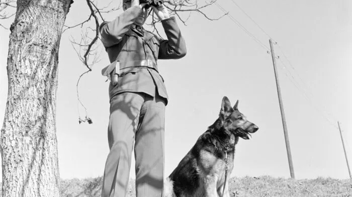 Zollwachebeamte mit Diensthund auf Patrouille an der südsteirischen Grenze, 1959