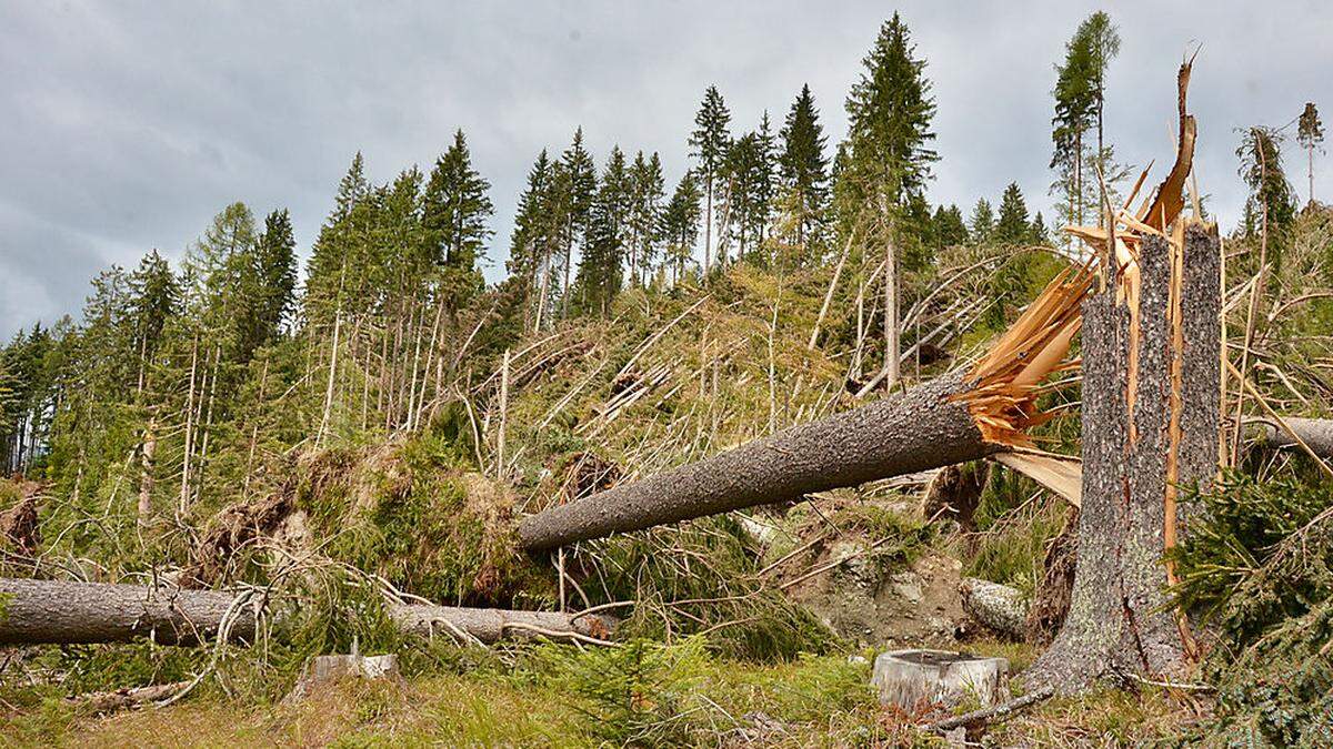 Oberkärnten wird immer öfter von Windwürfen heimgesucht