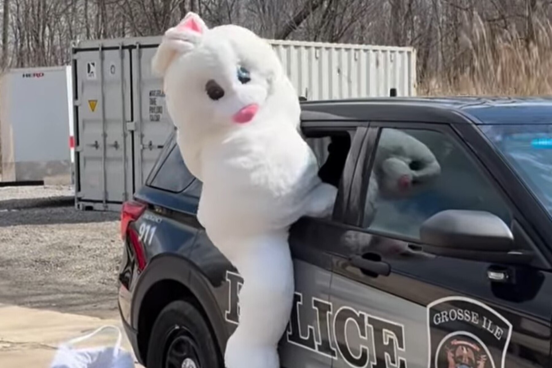 Flucht durchs Fenster: US-Polizisten beweisen mit Osterhasen-Video Humor