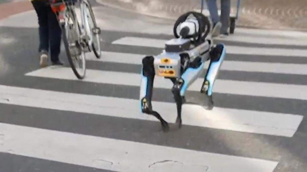 Der Boston Dynamics Spot nimmt brav den Zebrastreifen