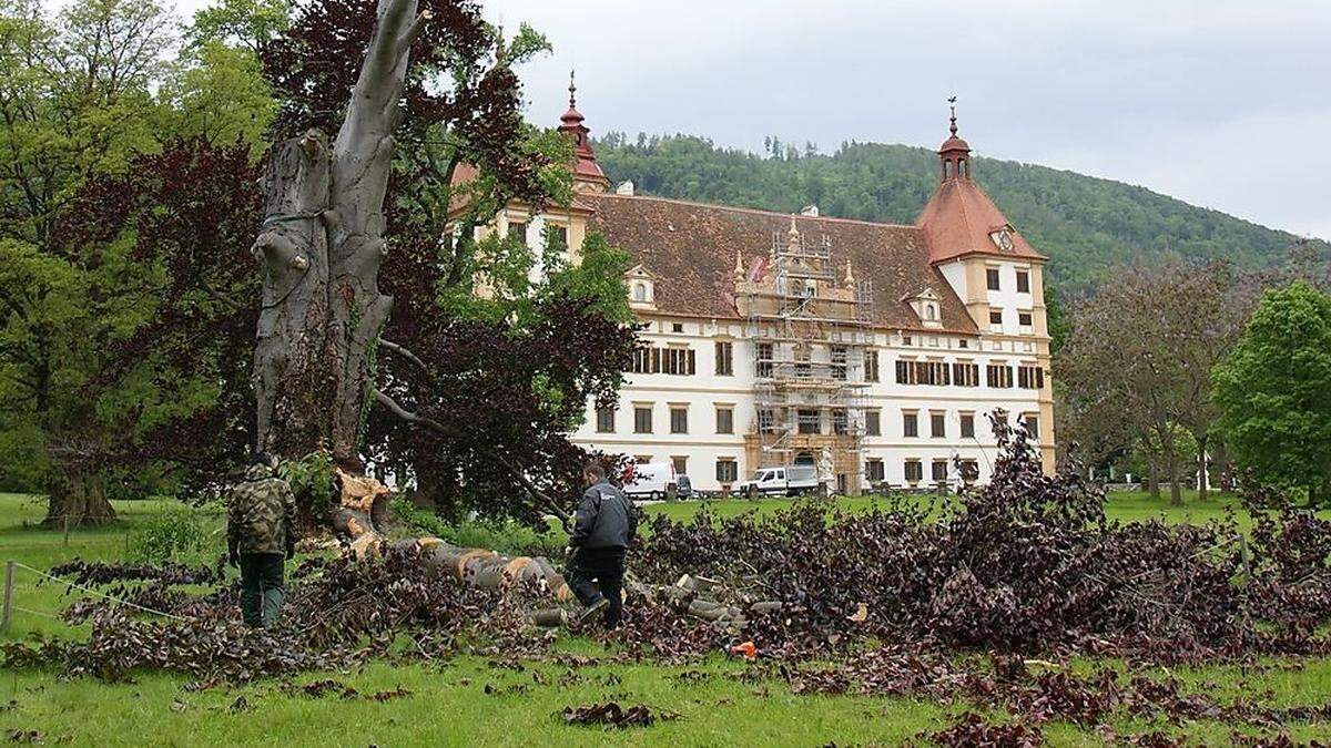 Auch rund um das Schloss Eggenberg hatte der Sturm gewütet