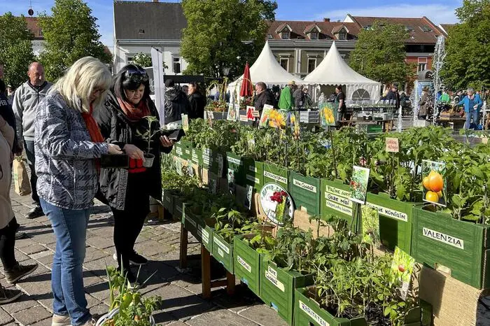 Die Eröffnung nahm Bürgermeister Franz Jost mit Stadtmarketing-Leiterin Barbara Wagner und Gemeinderatsmitgliedern gemeinsam vor.