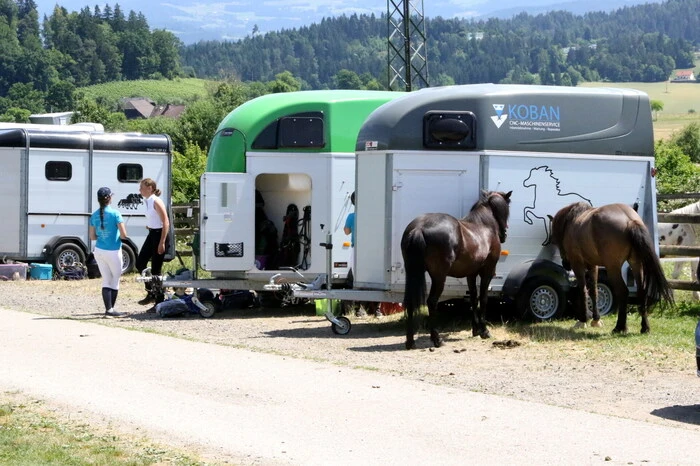 „Das Treffen ist die erste Station der „Carinthian-Icelandic-Challenge“, sagte Turnierleiterin Heike Fuchs. 