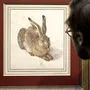 "Der Feldhase" von Albrecht Dürer