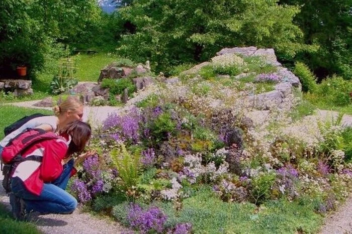 Fünf Floras