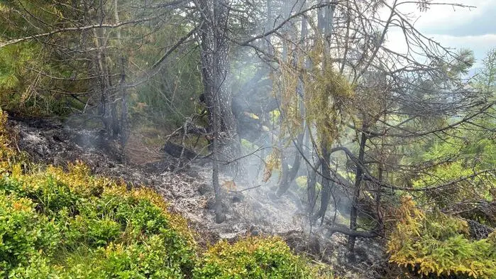 Ein Blitzschlag dürfte das Feuer im abgelegenen Gebiet ausgelöst haben