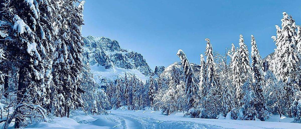 Ob Sie spazierend, in Schneeschuhen oder auf Langlaufski das Saisertal erleben, ist nebensächlich: Das Füllhorn der Natur reicht für alle