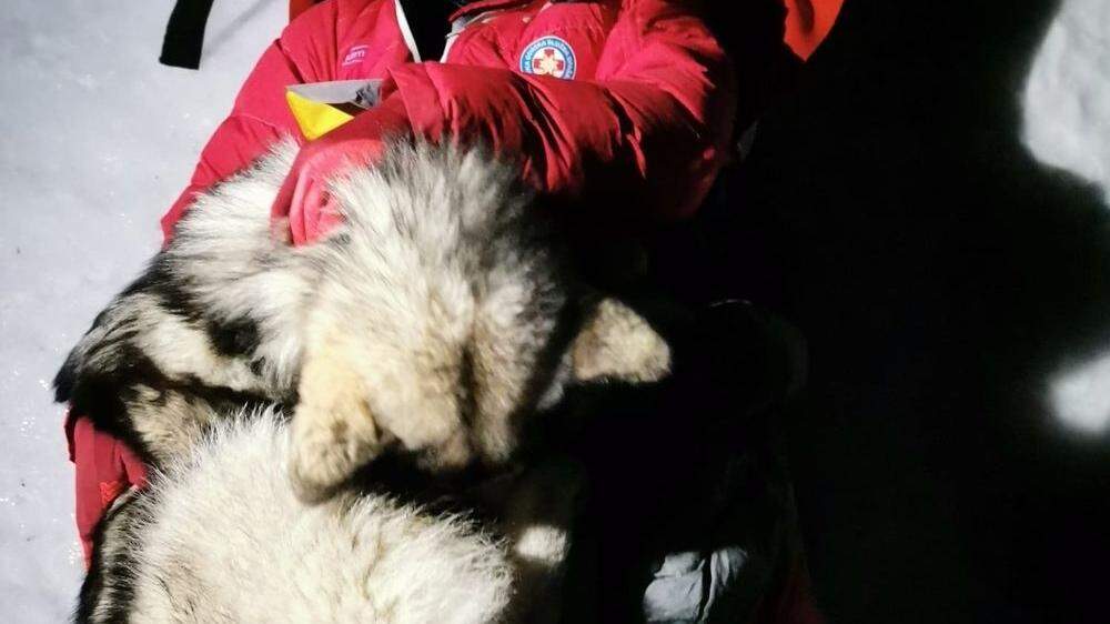 &quot;Die Freundschaft und die Liebe zwischen Menschen und Hunden sind grenzenlos&quot;, schwärmte der kroatische Bergrettungsdienst auf seiner Facebook-Seite