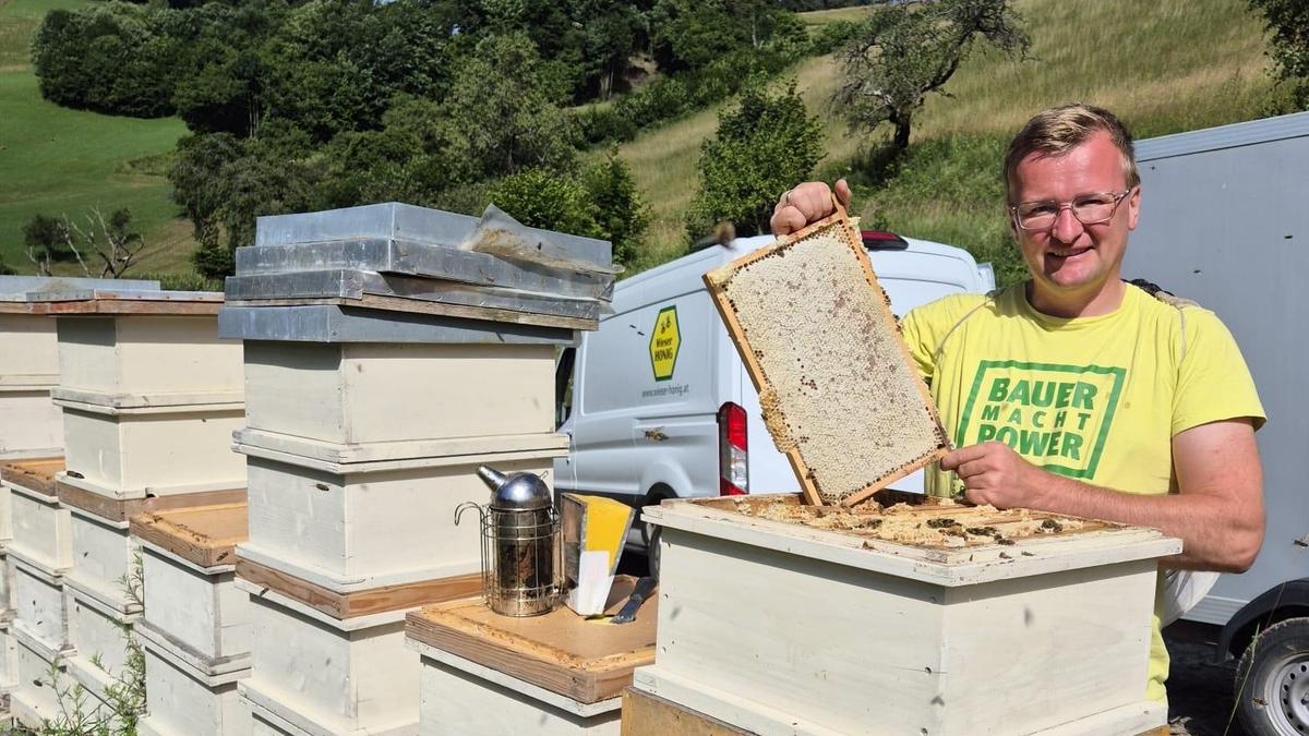 Imker Johannes Wieser aus Frohnleiten sind heuer 50 Prozent der Ernte weggebrochen