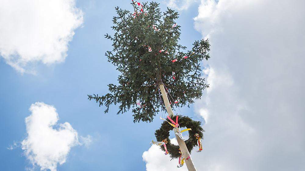 Der Maibaum gilt als Symbol des Lebens
