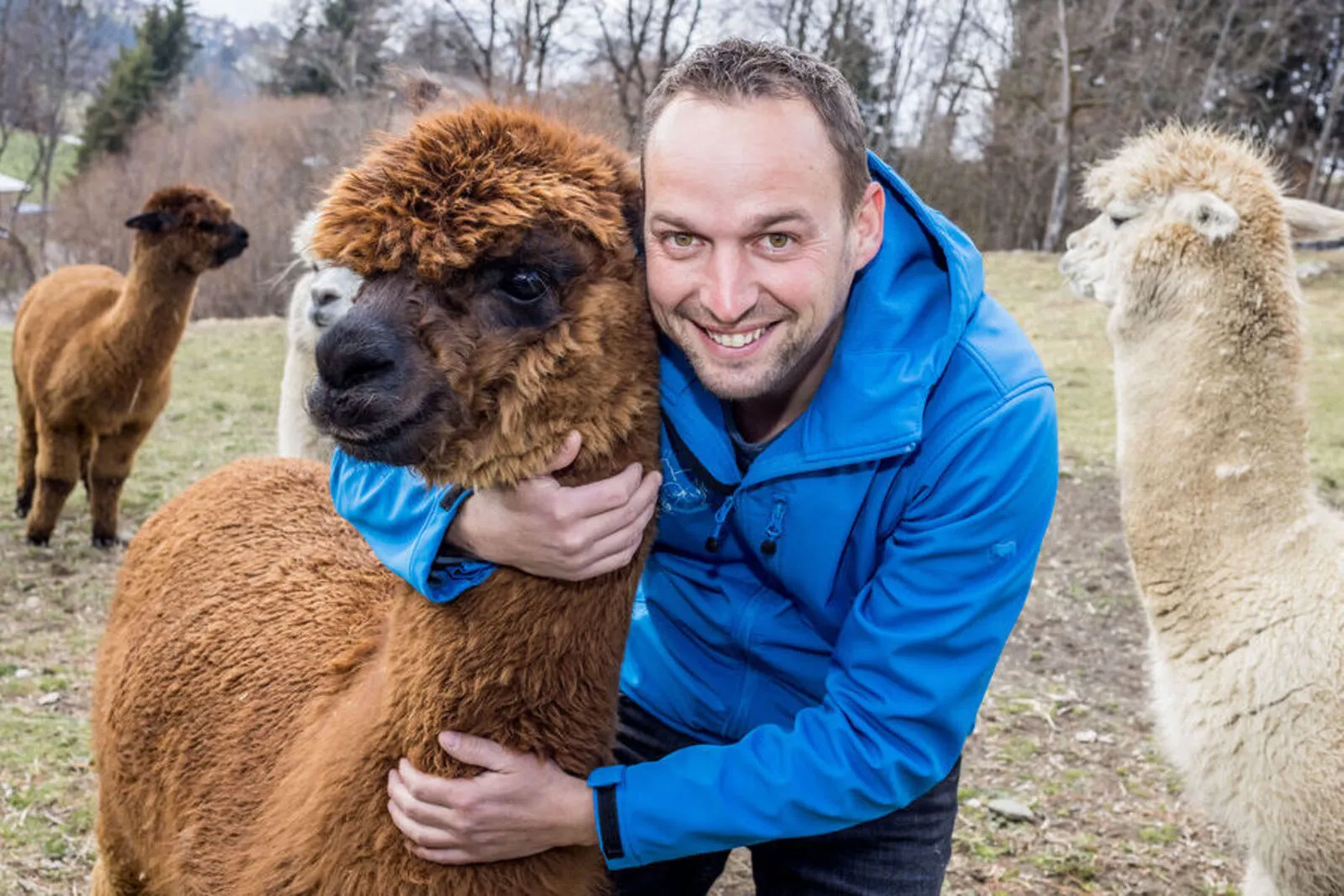 Philipp Wohlgemuth hat sich seit 2015 der Alpakazucht verschrieben