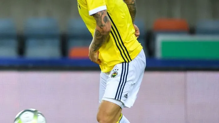 Simon Kjaer (28) Nationalität: Dänemark Position: Innenverteidigung Bisherige Vereine: FC Midtjylland, VfL Wolfburg, AS Rom, LOSC Lille  