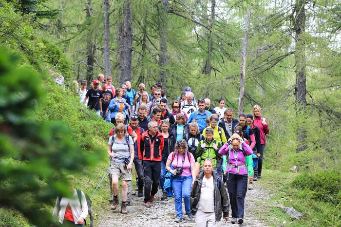 ... durchquerte idyllische Waldpassagen und ...