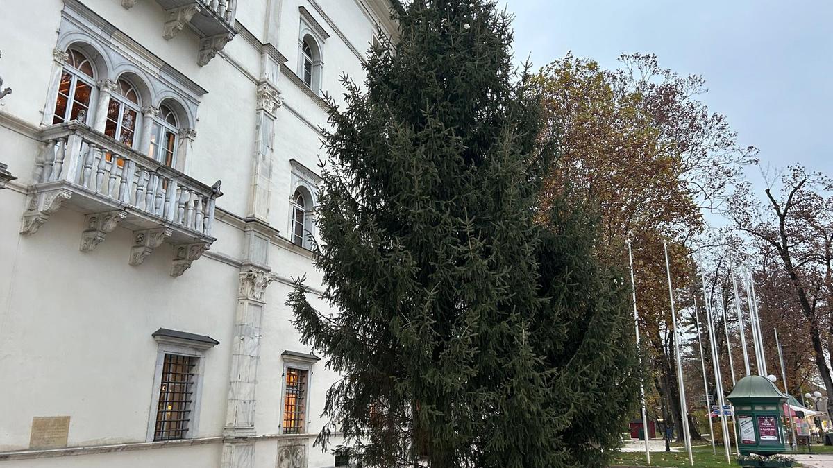 Der Christbaum vor dem Schloss Porcia wurde bereits aufgestellt