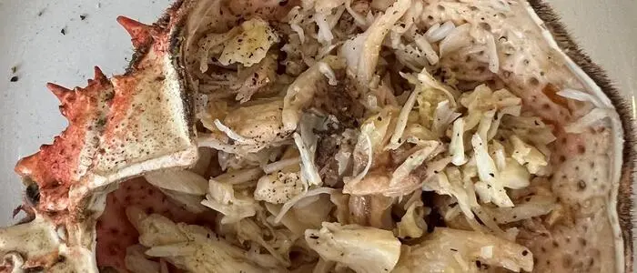 Grancevola: Die Meeresspinne wird nur selten serviert