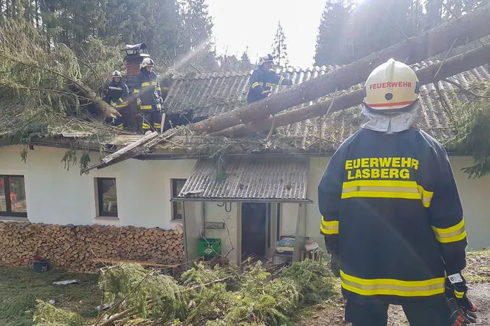 In Lasberg in Oberösterreich fiel ein Baum auf ein Haus. 