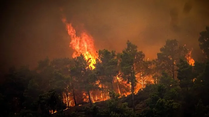 Auf Rhodos sind rund 20.000 Menschen vor Waldbrand in Sicherheit gebracht worden.