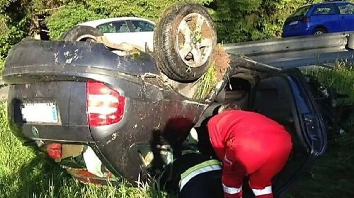 Das Auto stürzte in eine Wiese