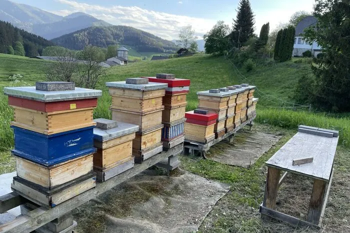 Derzeit haben die Hobbyimker 18 Bienenstöcke.